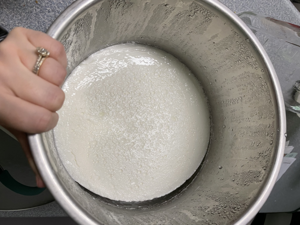 plain yogurt in instant pot