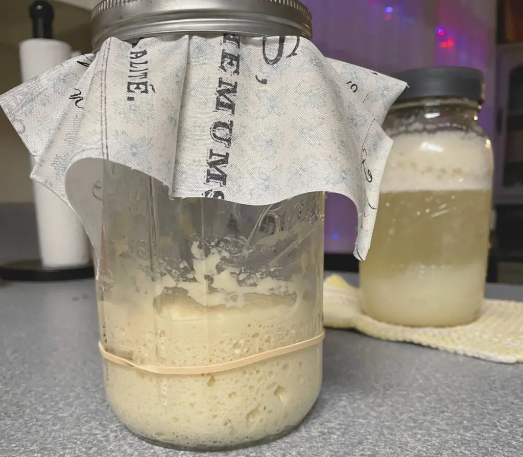 flour and water starter in front of a potato flake starter