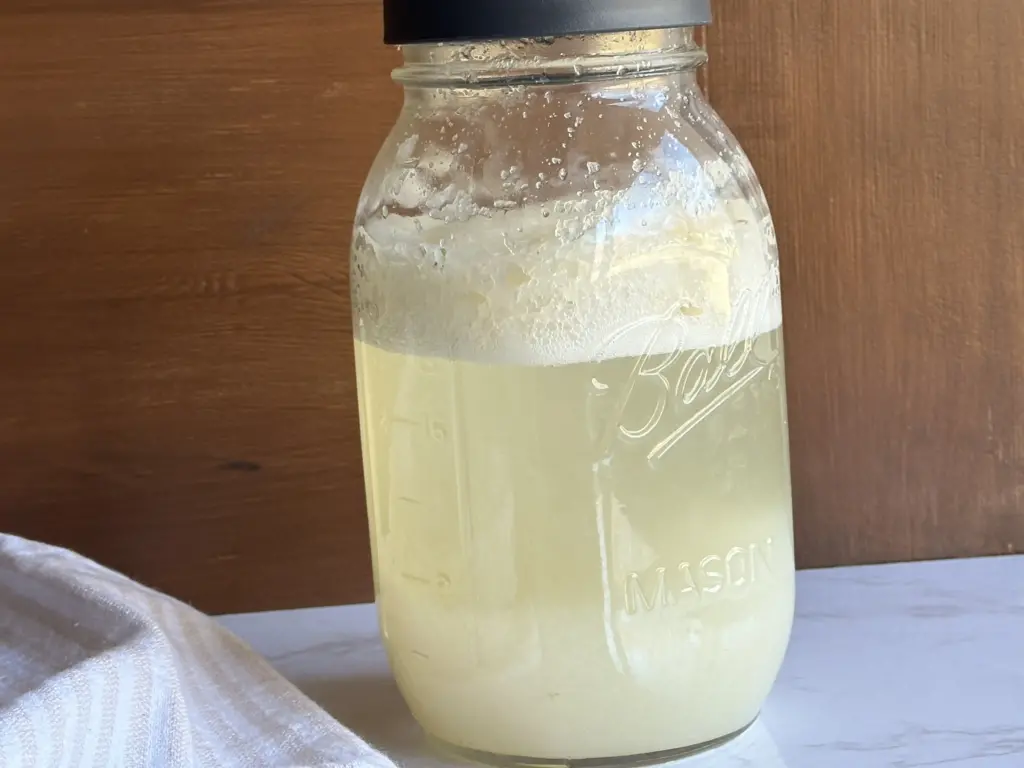potato flake sourdough starter