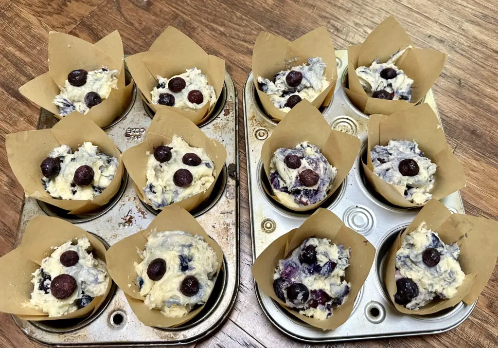 blueberry muffins before baking in muffin tin