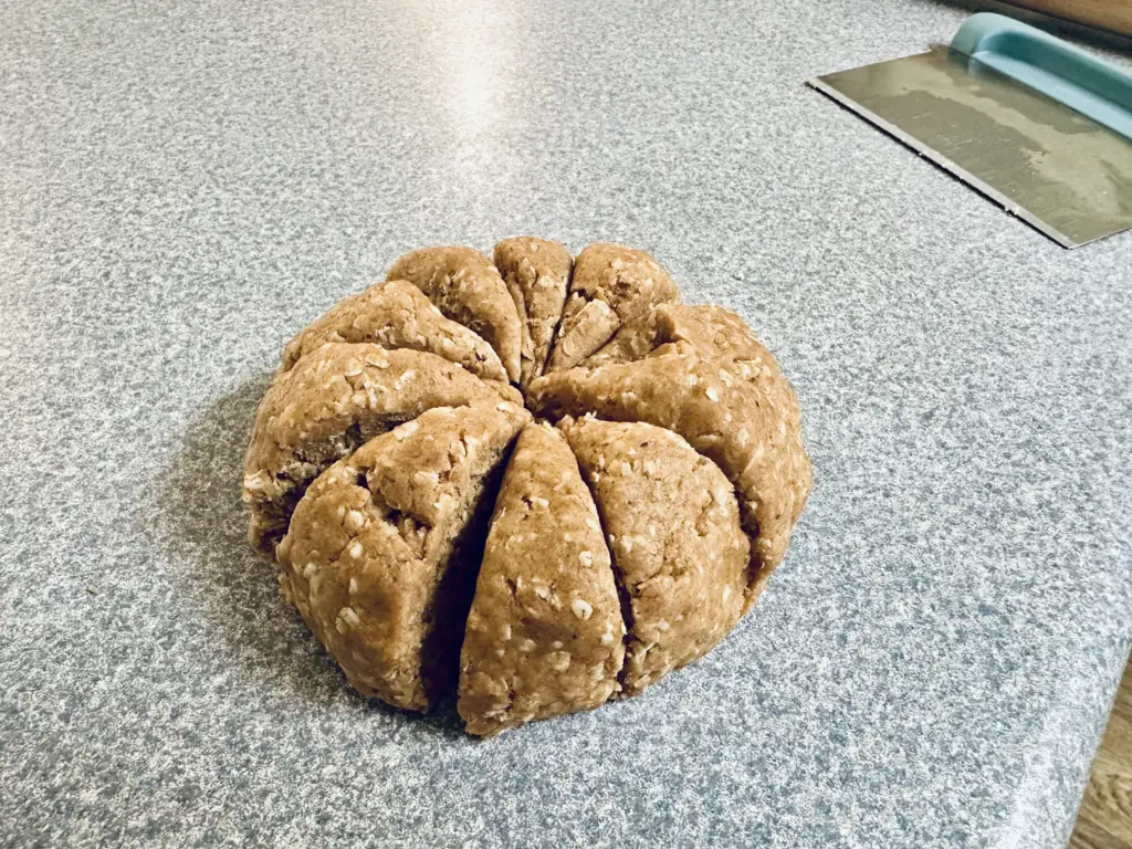 fermented Nutri-Grain bar dough cut into 10 equal pieces