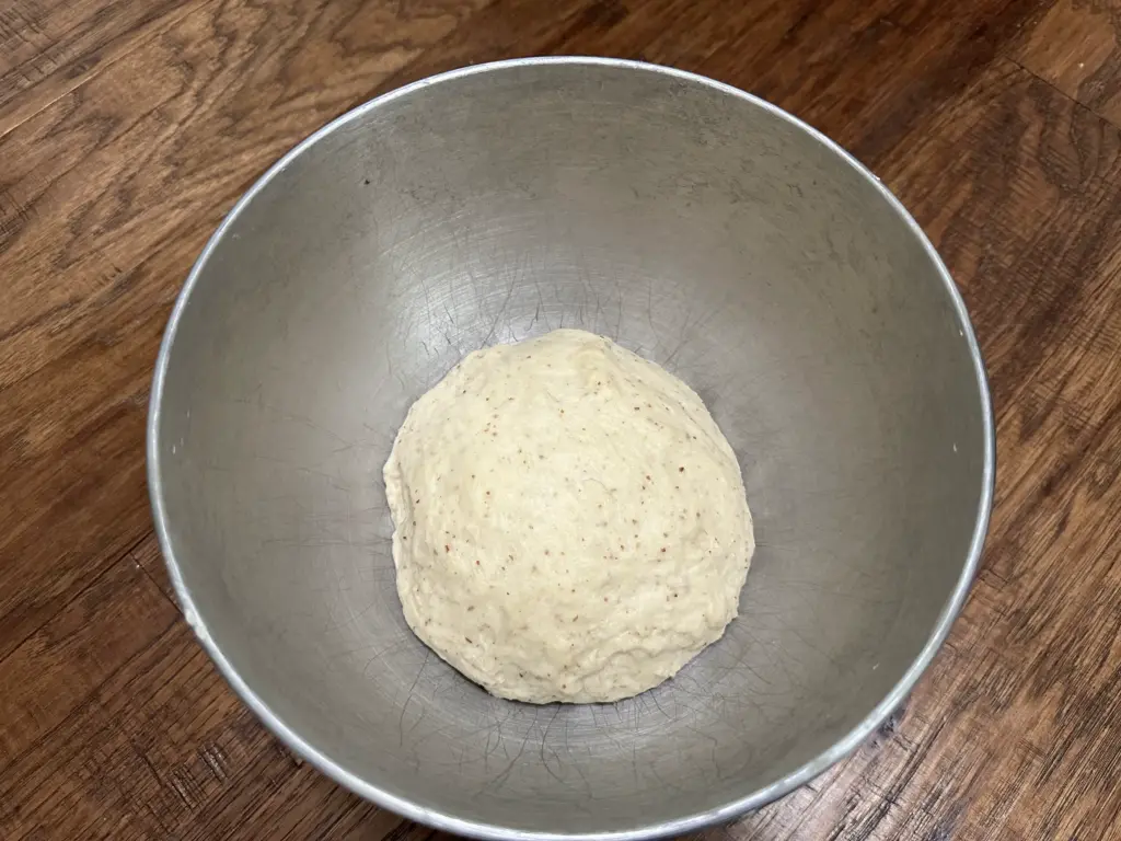 dough after first rise