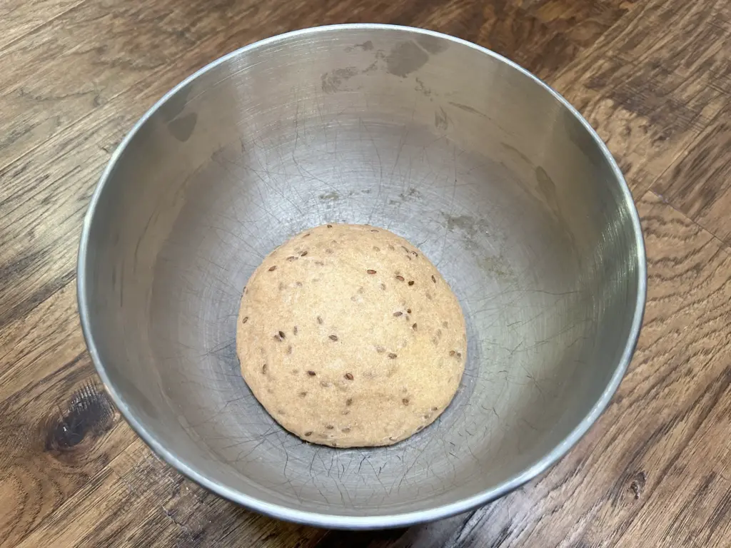cracker dough after fermentation