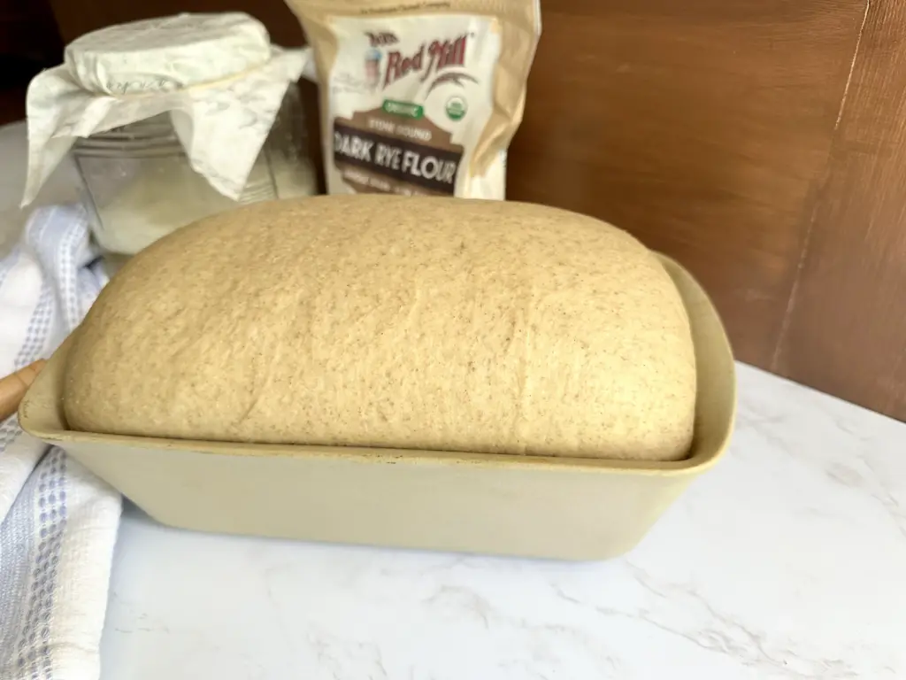 Potato Flake Sourdough Rye Bread after second rise