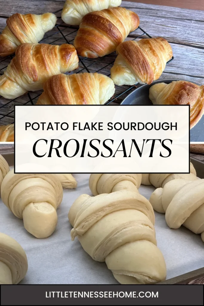 potato flake sourdough croissants pin image