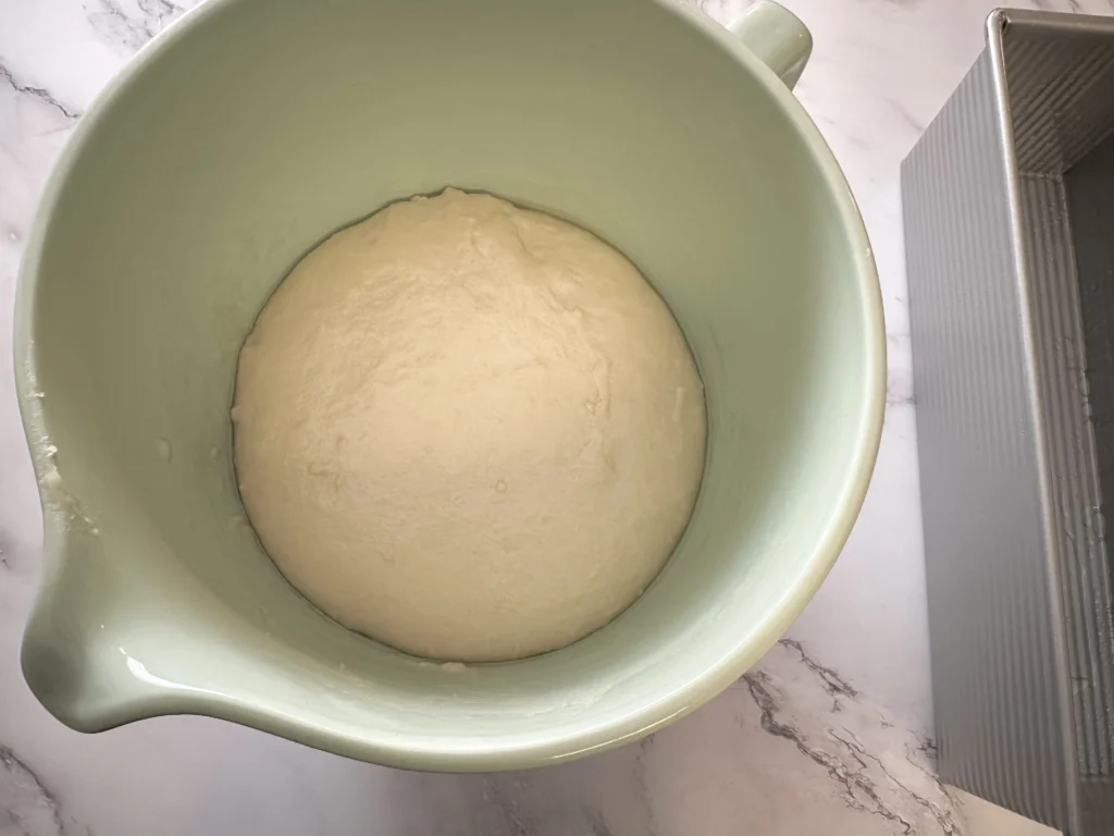 potato flake sourdough risen dough for pullman loaf pan