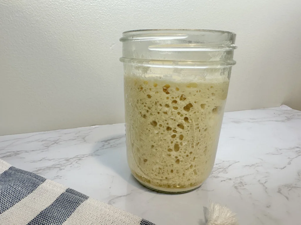 traditional sourdough starter vs. potato flake