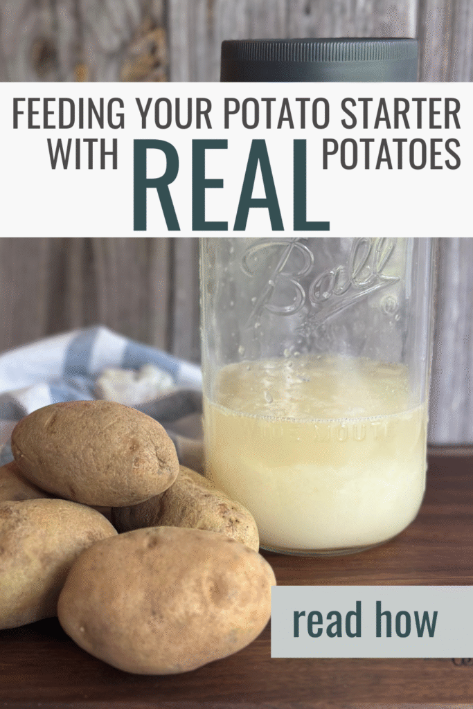how to feed your potato flake starter with real potatoes pin image