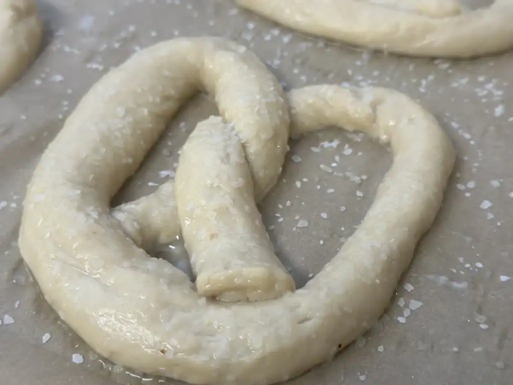 potato flake sourdough pretzels sprinkled with salt